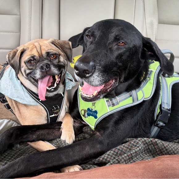 Meet your Posher, Melanie - Picture 2 of 2